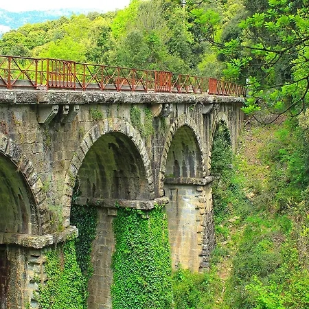Maestraccio * Tavera